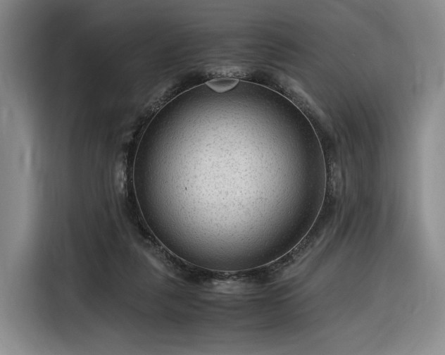 X0000116310259200912071314