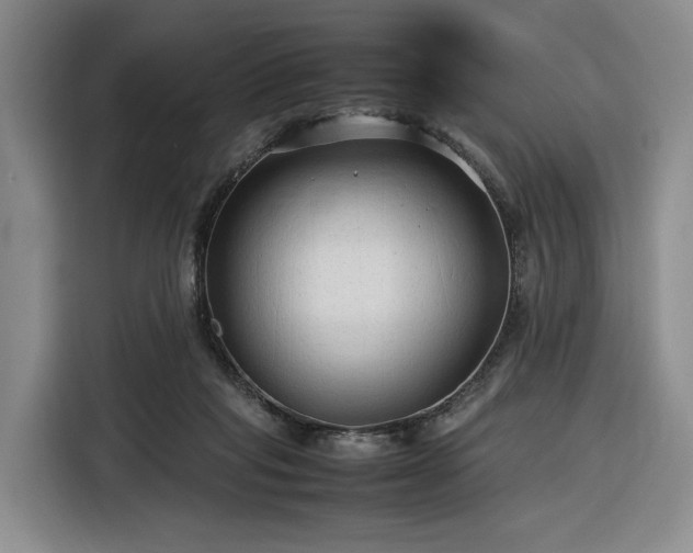 X0000116310261200912071314