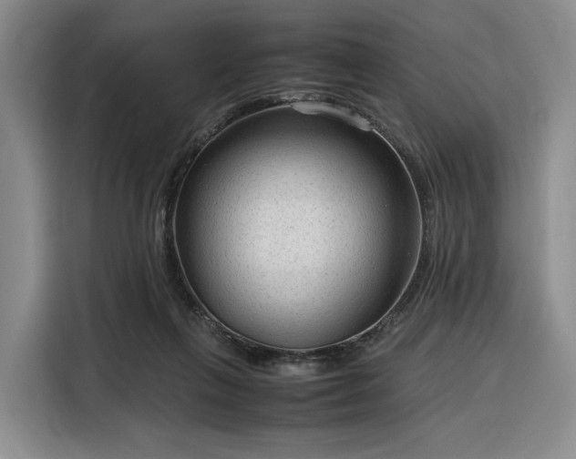 X0000116310263200912071314