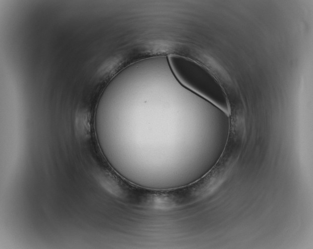 X0000116310264200912071314