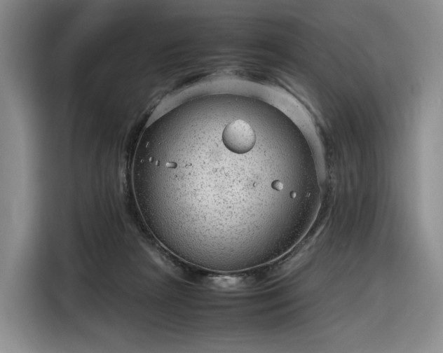 X0000116310265200912071314