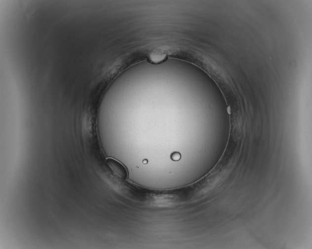 X0000116310268200912071314