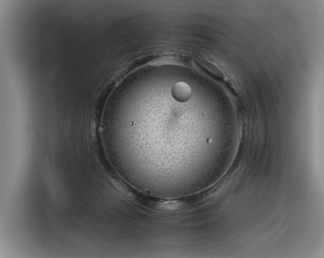 X0000116310269200912071314