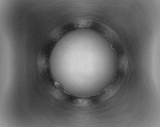 X0000116310272200912071314