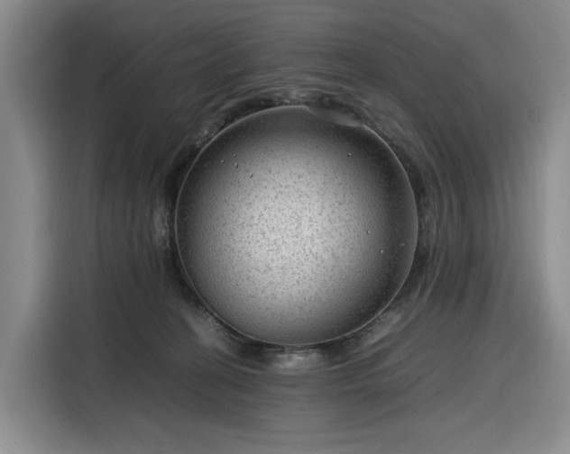 X0000116310274200912071314