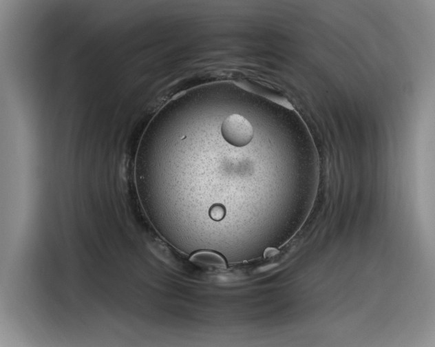 X0000116310275200912071314