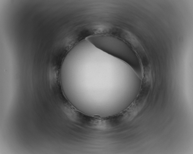 X0000116310276200912071314