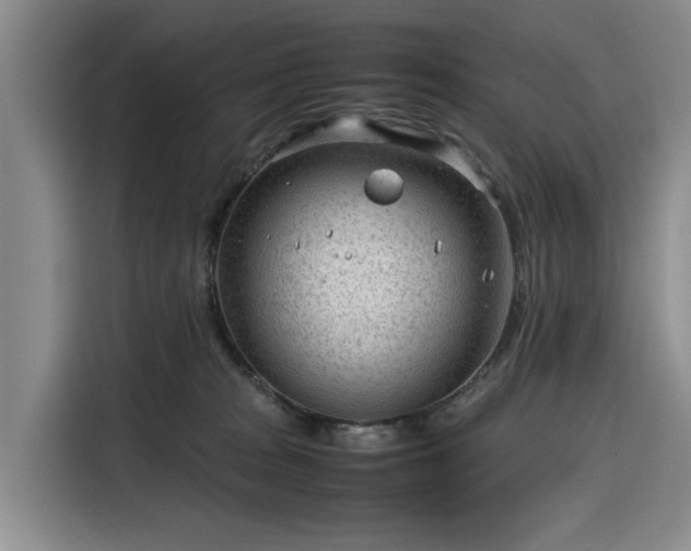 X0000116310277200912071314