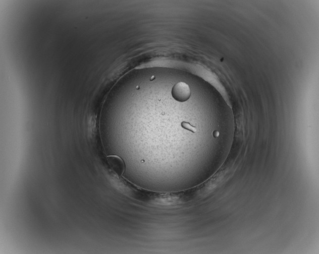 X0000116310278200912071314