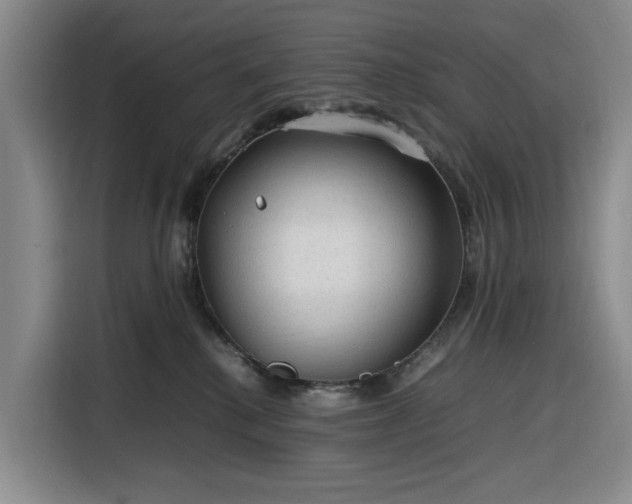 X0000116310280200912071314