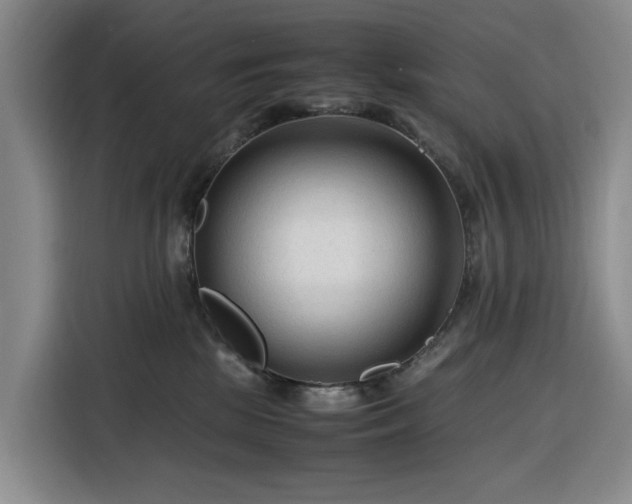 X0000116310281200912071314