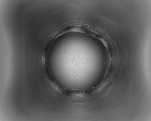 X0000116310282200912071314