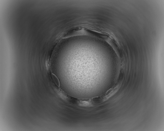 X0000116310285200912071315