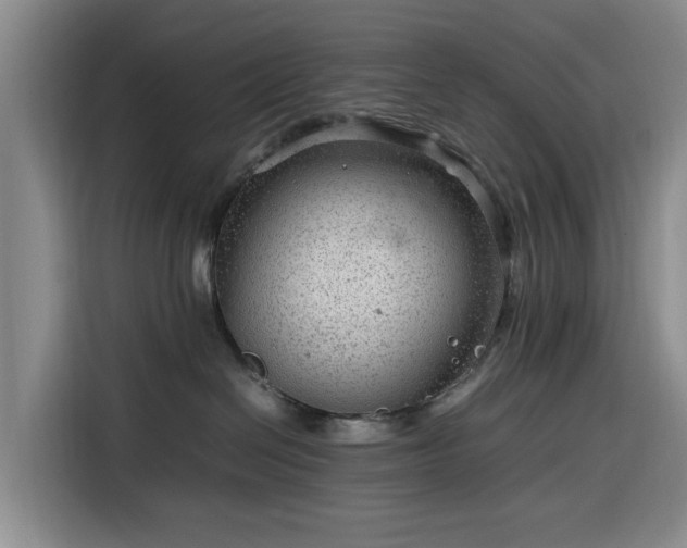 X0000116310286200912071315