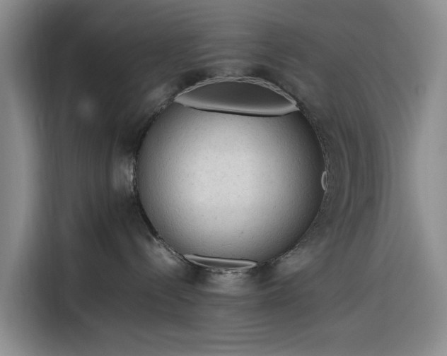 X0000116310288200912071315