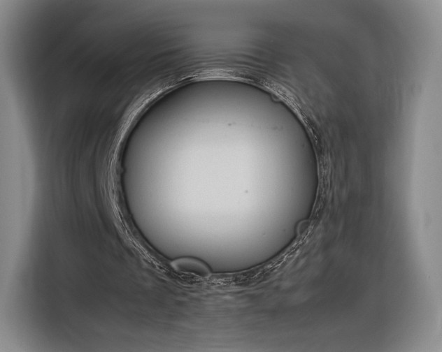 X0000116310289200912071314