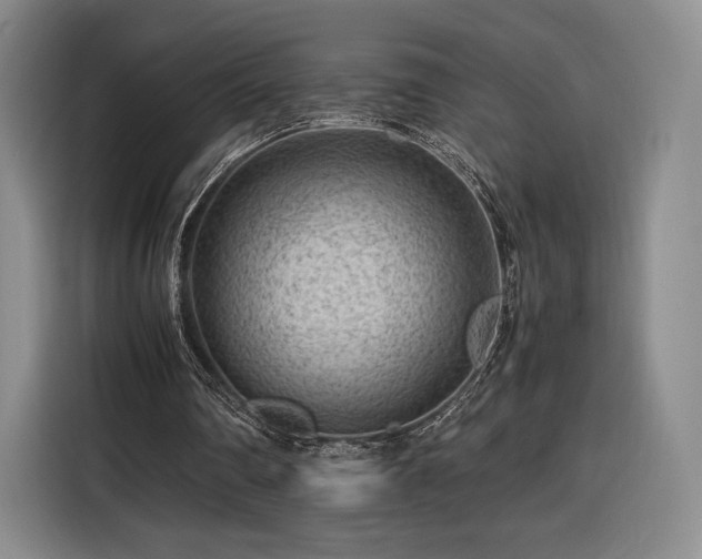 X0000116310290200912071314