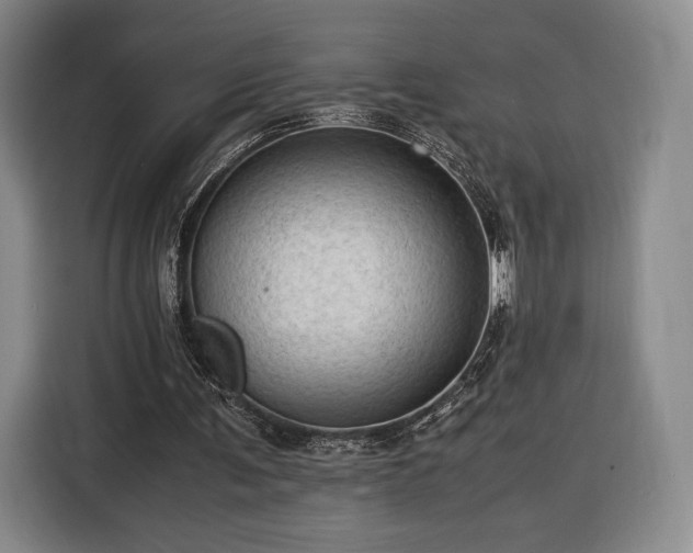 X0000116310291200912071314