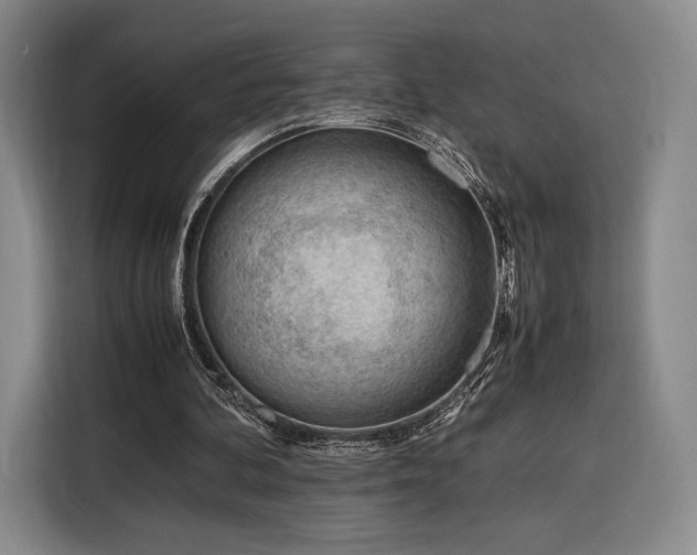 X0000116310292200912071314