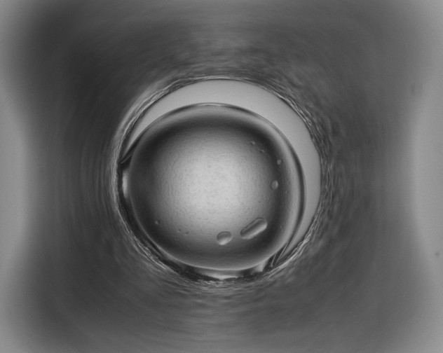 X0000116310293200912071314