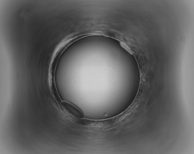 X0000116310294200912071314