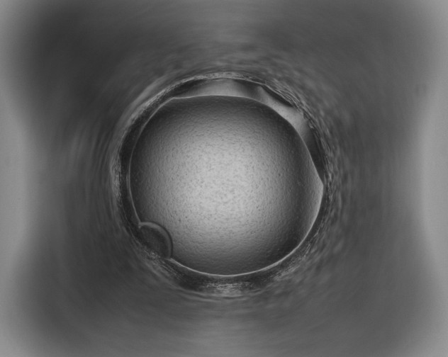 X0000116310295200912071314