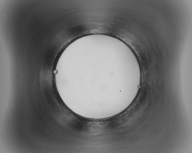 X0000116310297200912071314