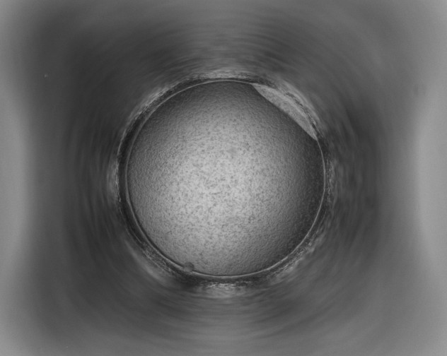 X0000116310298200912071314