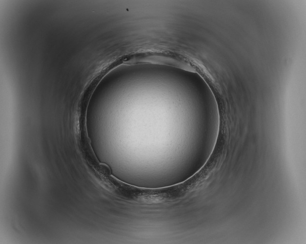 X0000116310299200912071314