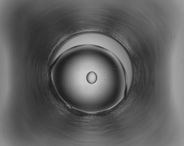 X0000116310300200912071314