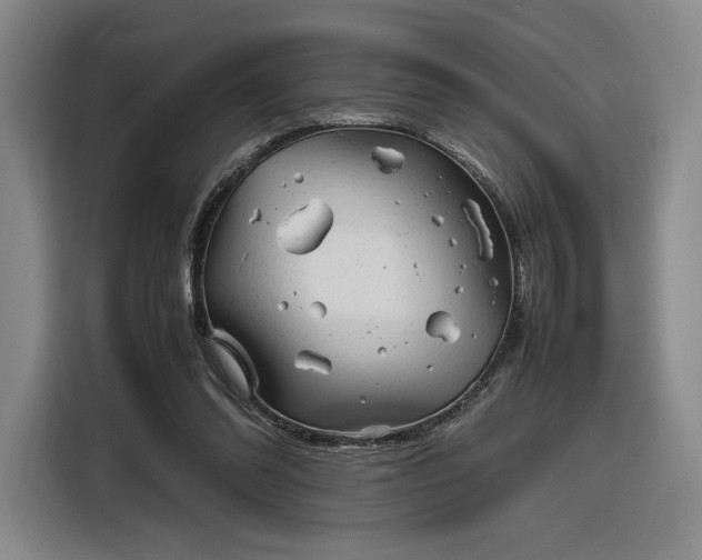 X0000116310302200912071314