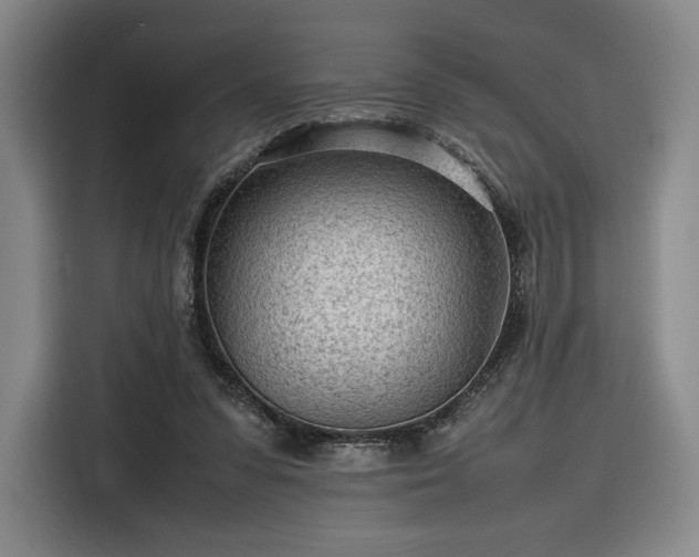 X0000116310303200912071314