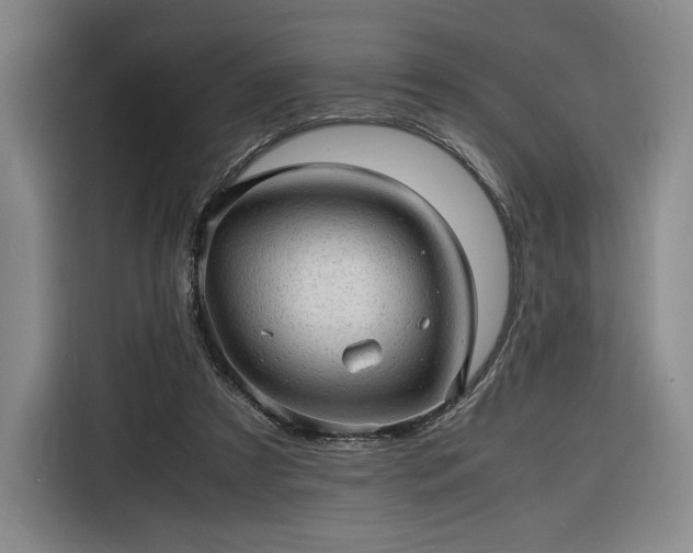 X0000116310305200912071314