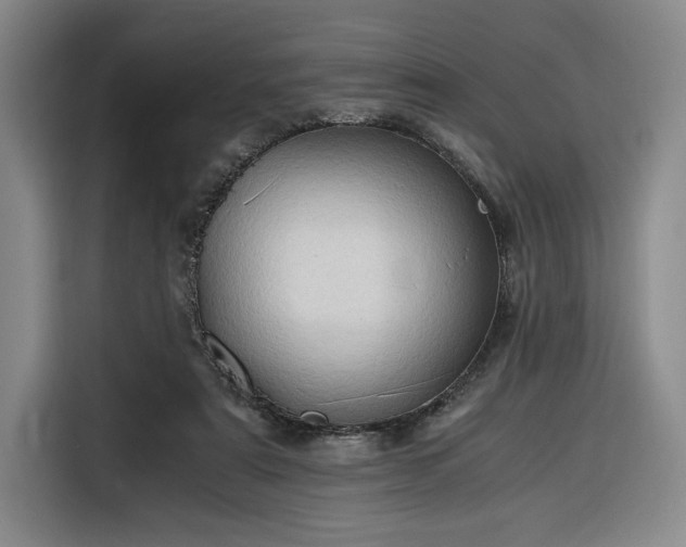 X0000116310307200912071314