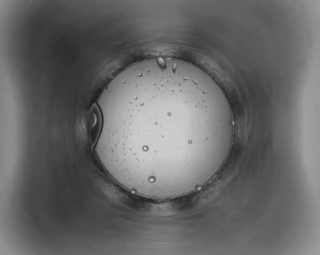 X0000116310309200912071314