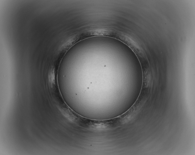 X0000116310310200912071314