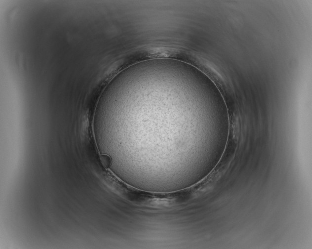 X0000116310314200912071314