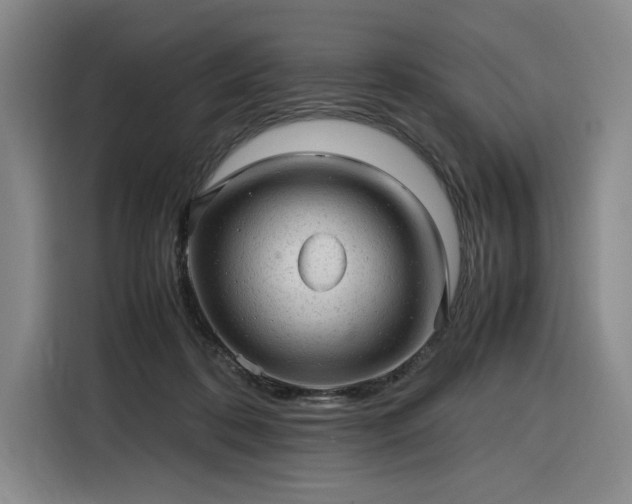 X0000116310316200912071314