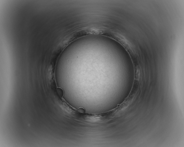 X0000116310318200912071314