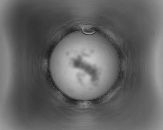 X0000116310321200912071314