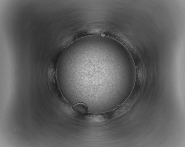 X0000116310322200912071313