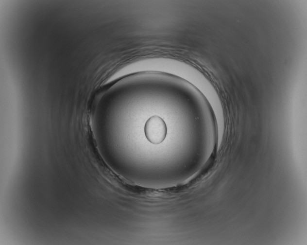 X0000116310325200912071313