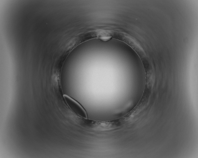 X0000116310329200912071313