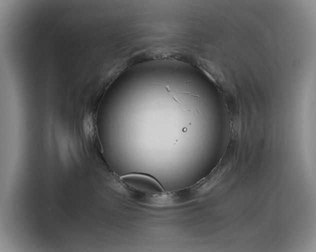 X0000116310335200912071313