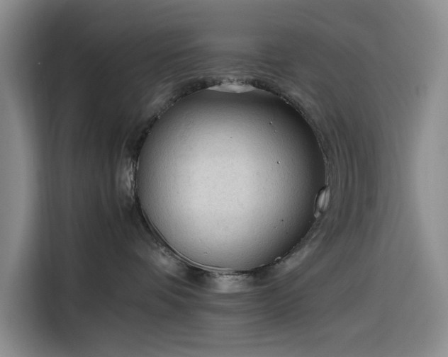 X0000116310336200912071313