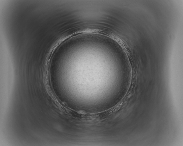 X0000116310337200912071313