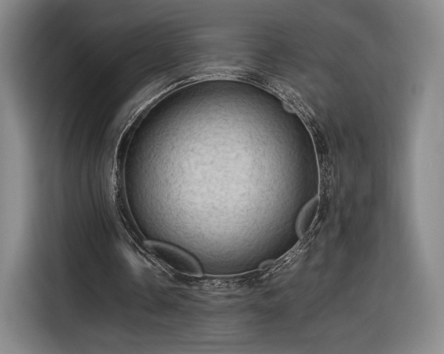 X0000116310338200912071313