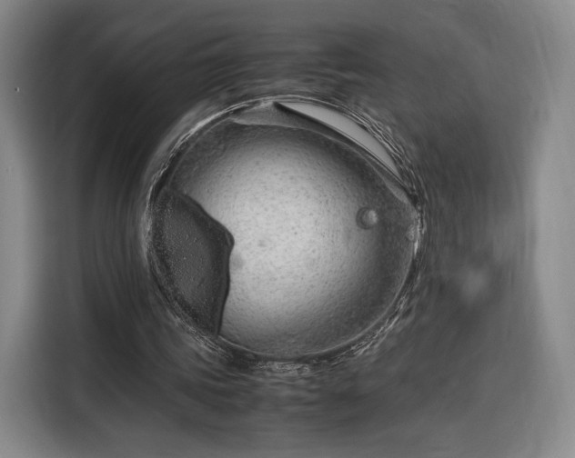 X0000116310339200912071313