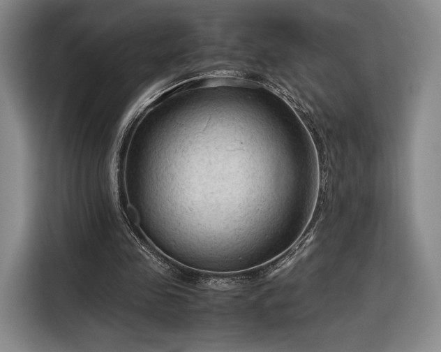 X0000116310341200912071313