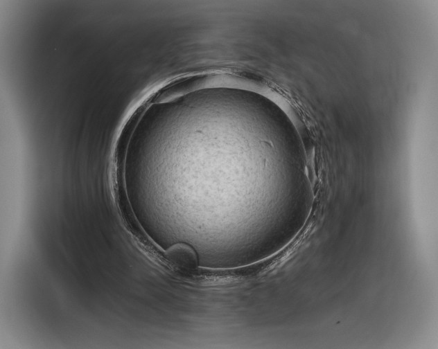 X0000116310342200912071313